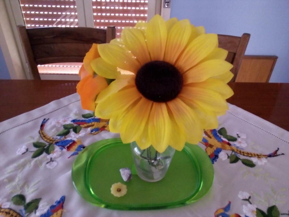 Casa Vacanze Terme แตร์เม วิญาตอเร ภายนอก รูปภาพ