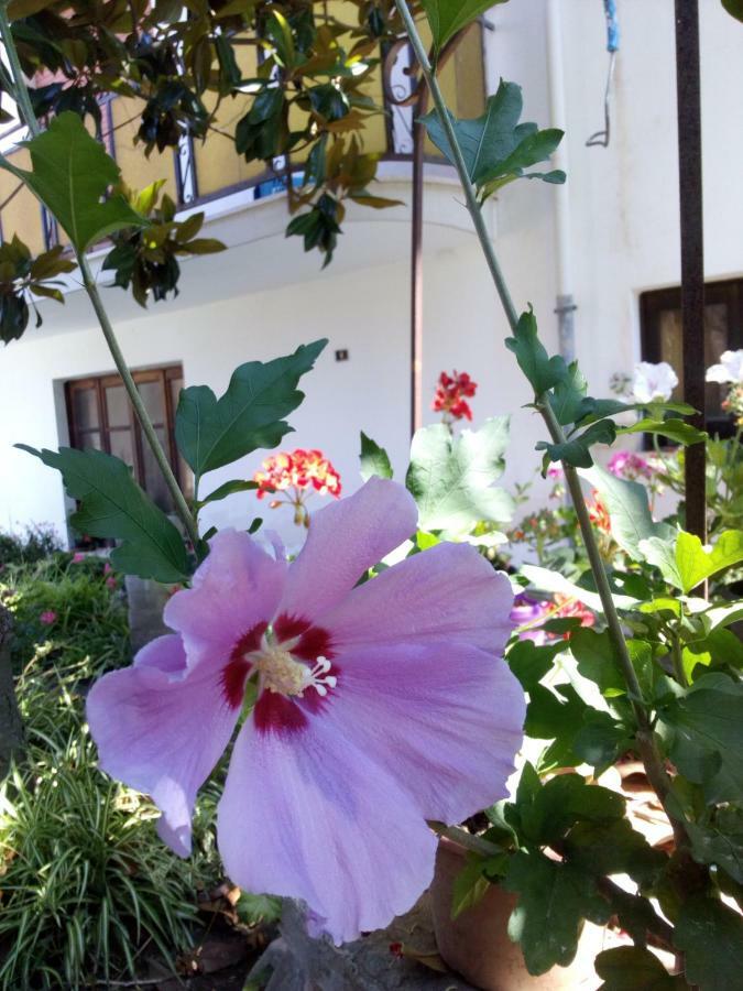 Casa Vacanze Terme แตร์เม วิญาตอเร ภายนอก รูปภาพ