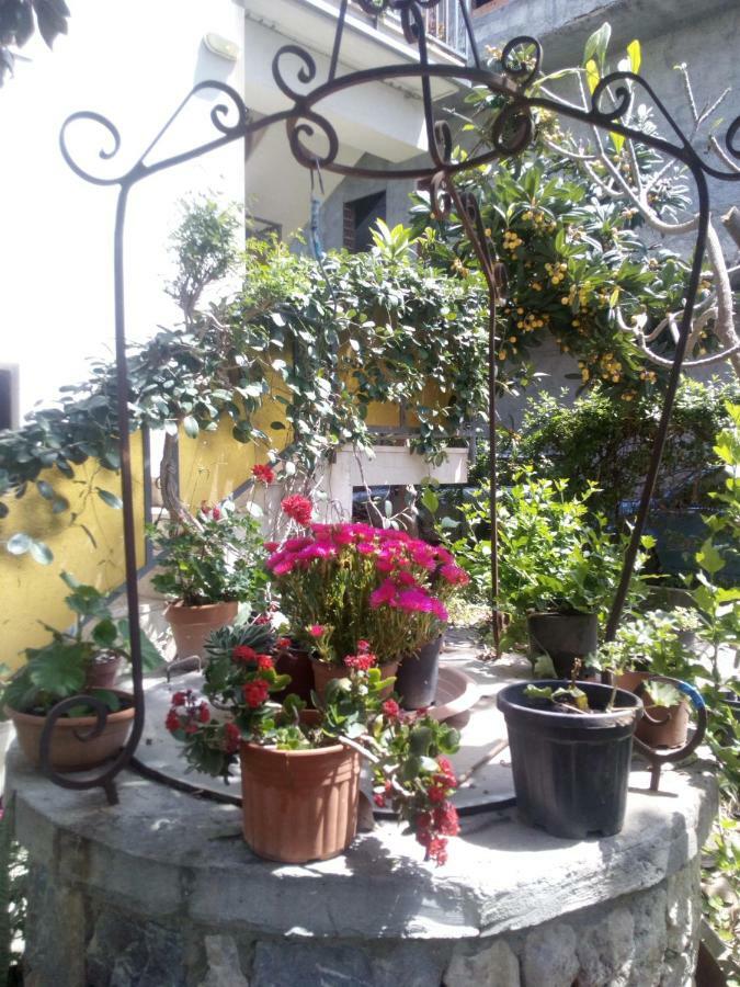 Casa Vacanze Terme แตร์เม วิญาตอเร ภายนอก รูปภาพ
