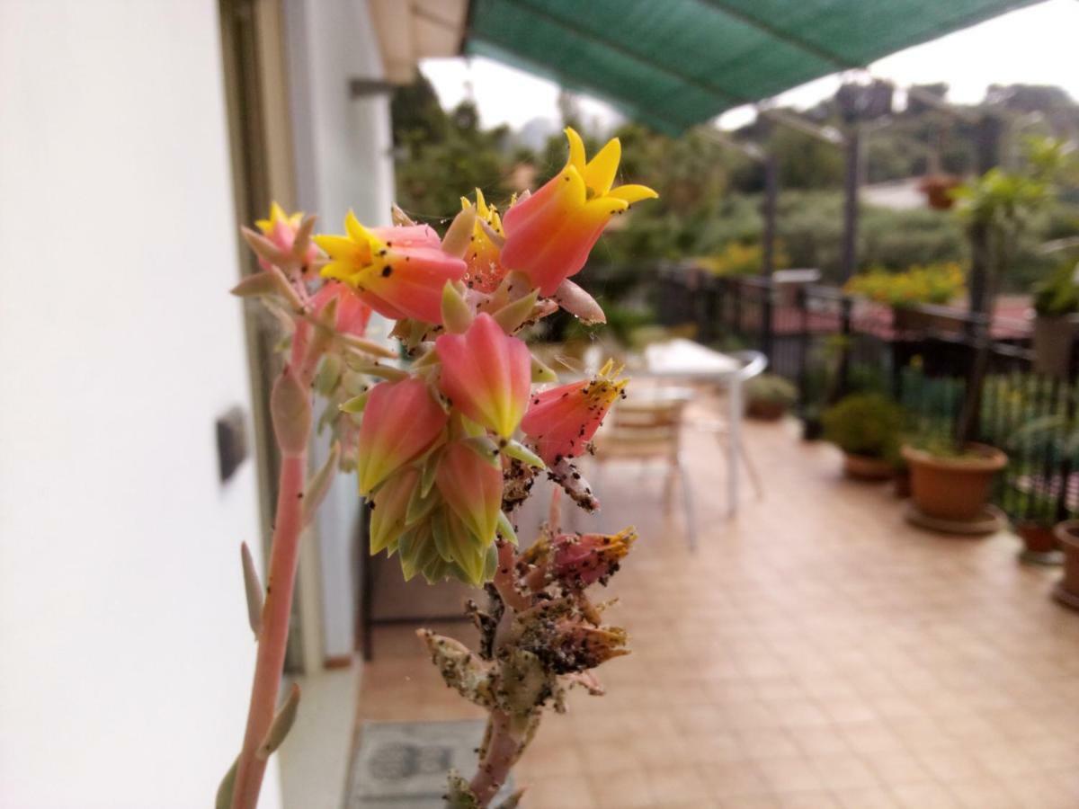 Casa Vacanze Terme แตร์เม วิญาตอเร ภายนอก รูปภาพ