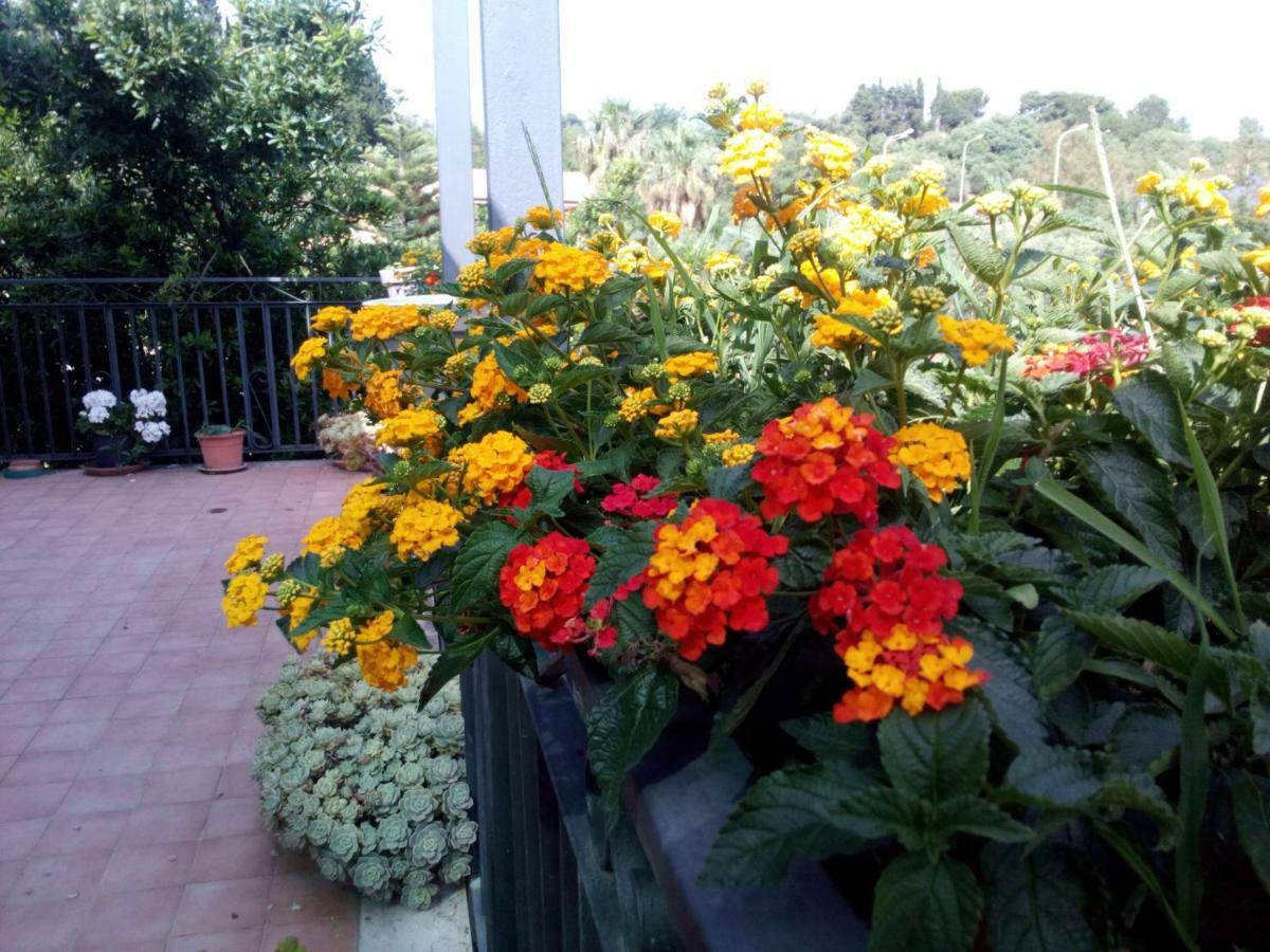 Casa Vacanze Terme แตร์เม วิญาตอเร ภายนอก รูปภาพ