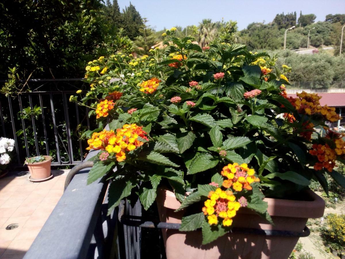 Casa Vacanze Terme แตร์เม วิญาตอเร ภายนอก รูปภาพ